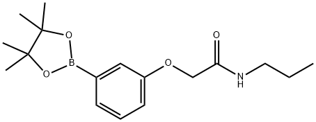 N-propyl-2-(3-(4,4,5,5-tetramethyl-1,3,2-dioxaborolan-2-yl)phenoxy)acetamide|3-(丙基氨甲酰基甲氧基)苯硼酸频哪醇酯