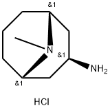 exo-3-Amino-9-methyl-9-azabicyclo[3.3.1]nonane Dihydrochloride