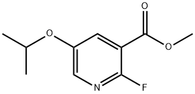 Methyl 2-fluoro-5-isopropoxynicotinate Structure