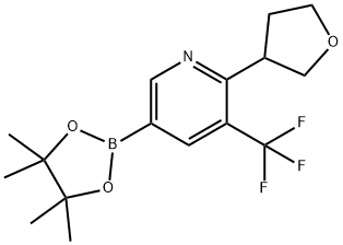 2-(tetrahydrofuran-3-yl)-5-(4,4,5,5-tetramethyl-1,3,2-dioxaborolan-2-yl)-3-(trifluoromethyl)pyridine Struktur