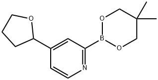 4-(Oxolan-2-yl)pyridine-2-boronic acid neopentylglycol ester,2223008-65-7,结构式