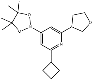 2-(Cyclobutyl)-6-(oxolan-3-yl)pyridine-4-boronic acid pinacol ester 化学構造式