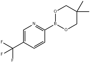 5-Trifluoromethylpyridine-2-boronic acid neopentylglycol ester Struktur