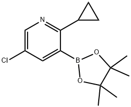 2-(Cyclopropyl)-5-chloropyridine-3-boronic acid pinacol ester 结构式