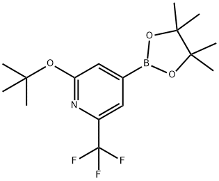 2-Trifluoromethyl-6-(tert-butoxy)pyridine-4-boronic acid pinacol ester Structure