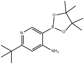 2-(tert-butyl)-5-(4,4,5,5-tetramethyl-1,3,2-dioxaborolan-2-yl)pyridin-4-amine 结构式