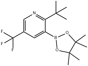 2-(tert-Butyl)-5-trifluoromethylpyridine-3-boronic acid pinacol ester Structure