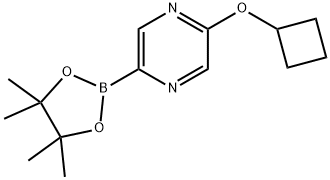 2-cyclobutoxy-5-(4,4,5,5-tetramethyl-1,3,2-dioxaborolan-2-yl)pyrazine 化学構造式