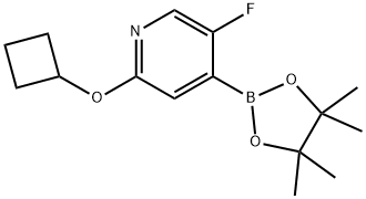 2-cyclobutoxy-5-fluoro-4-(4,4,5,5-tetramethyl-1,3,2-dioxaborolan-2-yl)pyridine Structure