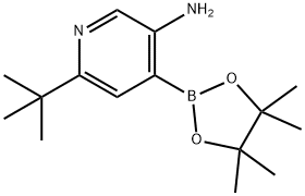 3-Amino-6-(tert-butyl)pyridine-4-boronic acid pinacol ester 化学構造式