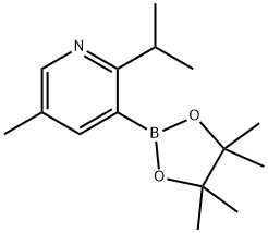 5-Methyl-2-(iso-propyl)pyridine-3-boronic acid pinacol ester Struktur