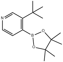 3-(tert-Butyl)pyridine-4-boronic acid pinacol ester|