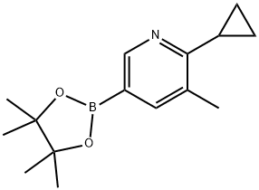5-Methyl-6-cyclopropylpyridine-3-boronic acid pinacol ester 结构式