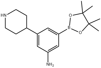 3-(piperidin-4-yl)-5-(4,4,5,5-tetramethyl-1,3,2-dioxaborolan-2-yl)aniline Struktur