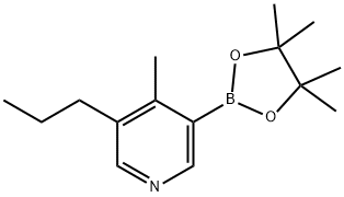 4-Methyl-5-(n-propyl)pyridine-3-boronic acid pinacol ester 化学構造式