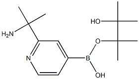 2-(2-Aminopropan-2-yl)pyridine-4-boronic acid pinacol ester Struktur