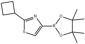 2-cyclobutyl-4-(4,4,5,5-tetramethyl-1,3,2-dioxaborolan-2-yl)thiazole Struktur