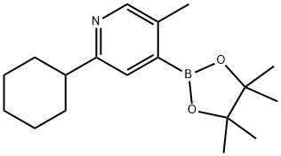 5-Methyl-2-(cyclohexyl)pyridine-4-boronic acid pinacol ester 结构式