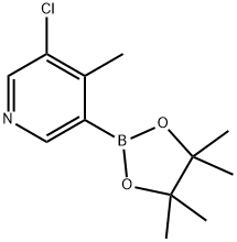 4-Methyl-3-chloropyridine-5-boronic acid pinacol ester Struktur