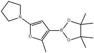 2-Methyl-5-(pyrrolidino)furan-3-boronic acid pinacol ester|