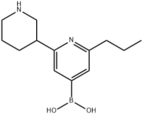2-(n-Propyl)-6-(piperidin-3-yl)pyridine-4-boronic acid Struktur