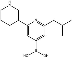 2-(iso-Butyl)-6-(piperidin-3-yl)pyridine-4-boronic acid 化学構造式