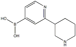 (2-(piperidin-3-yl)pyridin-4-yl)boronic acid Struktur