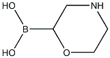 Morpholine-2-boronic acid 结构式