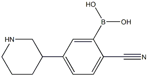 2-Cyano-5-(piperidin-3-yl)phenylboronic acid Structure