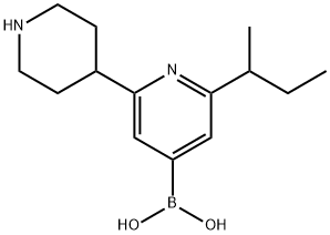 2-(sec-Butyl)-6-(piperidin-4-yl)pyridine-4-boronic acid 结构式