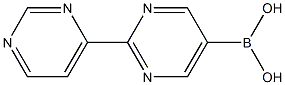 [2,4'-bipyrimidin]-5-ylboronic acid 化学構造式