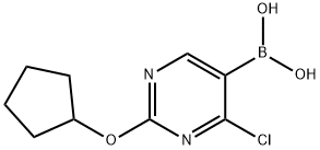 4-Chloro-2-(cyclopentoxy)pyrimidine-5-boronic acid Structure