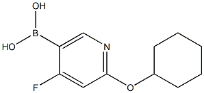 4-Fluoro-2-(cyclohexyloxy)pyridine-5-boronic acid Struktur