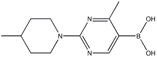 4-Methyl-2-(4-methylpiperidino)pyrimidine-5-boronic acid Struktur