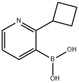 2-(Cyclobutyl)pyridine-3-boronic acid 化学構造式