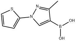 3-Methyl-1-(2-thienyl)pyrazole-4-boronic acid,2225180-09-4,结构式