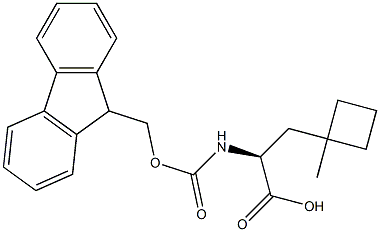 FMOC-L-2-氨基-3-(1-甲基环丁基)丙酸,2231664-92-7,结构式