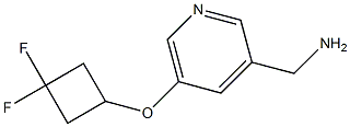 (5-(3,3-difluorocyclobutoxy)pyridin-3-yl)methanamine 结构式