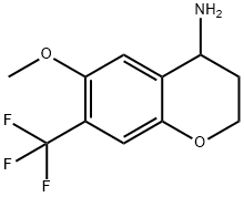 6-METHOXY-7-(TRIFLUOROMETHYL)CHROMANE-4-YLAMINE Structure