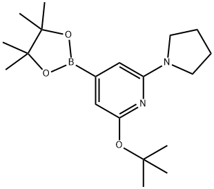 2-(tert-butoxy)-6-(pyrrolidin-1-yl)-4-(4,4,5,5-tetramethyl-1,3,2-dioxaborolan-2-yl)pyridine 结构式
