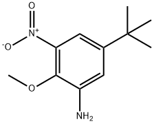 5-TERT-BUTYL-2-METHOXY-3-NITROBENZENAMINE 结构式