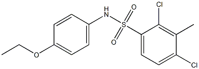 2,4-dichloro-N-(4-ethoxyphenyl)-3-methylbenzenesulfonamide Structure