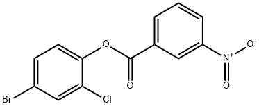 4-bromo-2-chlorophenyl 3-nitrobenzoate,562798-61-2,结构式