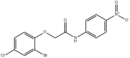 2-(2-bromo-4-chlorophenoxy)-N-(4-nitrophenyl)acetamide Structure