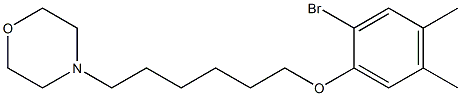4-[6-(2-bromo-4,5-dimethylphenoxy)hexyl]morpholine Struktur