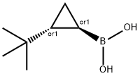 (2-(tert-butyl)cyclopropyl)boronic acid Struktur