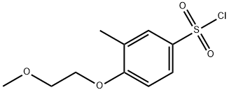 4-(2-methoxyethoxy)-3-methylbenzene-1-sulfonyl chloride 结构式