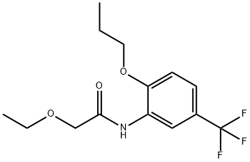 2-ethoxy-N-[2-propoxy-5-(trifluoromethyl)phenyl]acetamide Structure