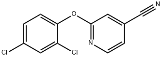 81249-46-9 2-(2,4-二氯苯氧基)吡啶-4-甲腈