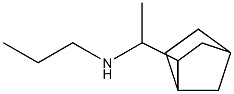 (1-{bicyclo[2.2.1]heptan-2-yl}ethyl)(propyl)amine Structure